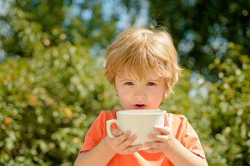 чай с мятой можно детям после 3 лет