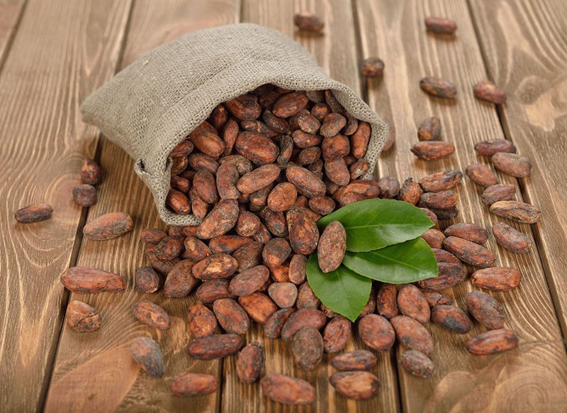плоды дерева какао
